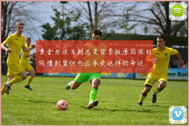 费舍尔谈马刺总是背景板原因深刻同情刺蜜但也应承受这样的命运