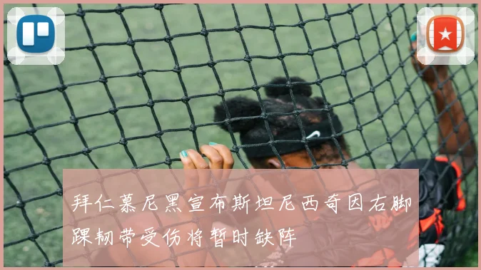 拜仁慕尼黑宣布斯坦尼西奇因右脚踝韧带受伤将暂时缺阵